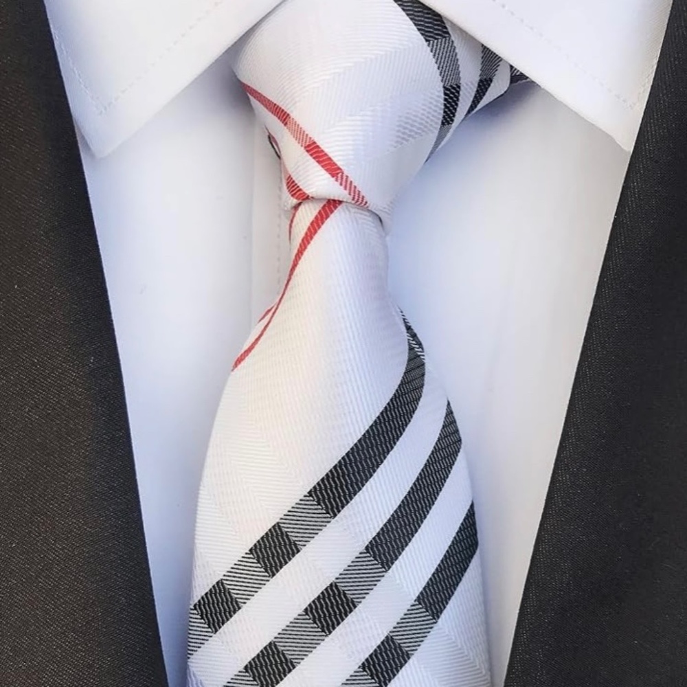 NWT Striped Necktie